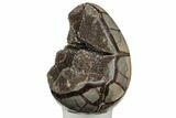Septarian Dragon Egg Geode - Black Crystals #196256-2